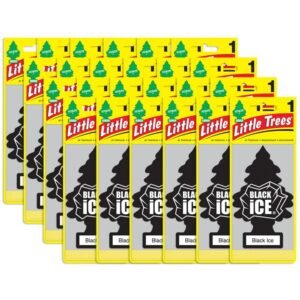 Little Trees Black Ice Air Freshener for Car and Home, 24 pack