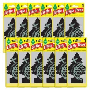 Little Trees Blackberry Cove Air Freshener for Car and Home, 12 pack