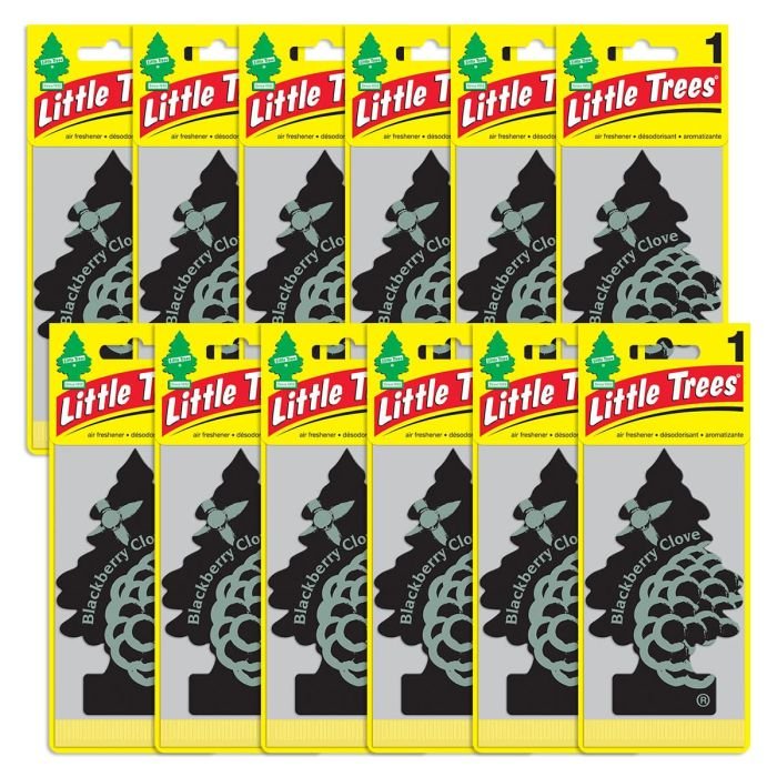 Little Trees Blackberry Cove Air Freshener for Car and Home, 12 pack