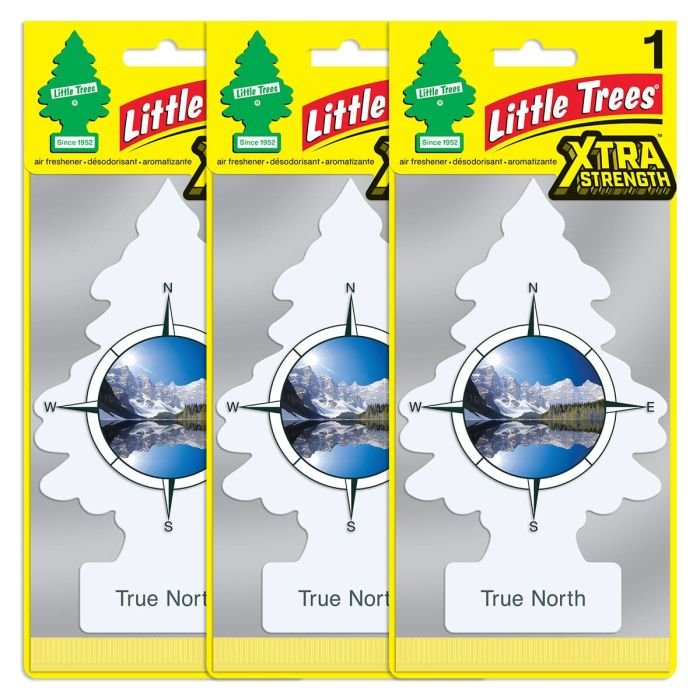 Little Trees X-tra Strength True North Large Air Freshener, 3 pack