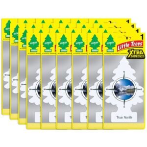 Little Trees X-tra Strength True North Large Air Freshener, 24 pack