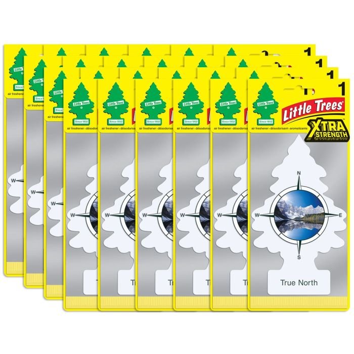 Little Trees X-tra Strength True North Large Air Freshener, 24 pack